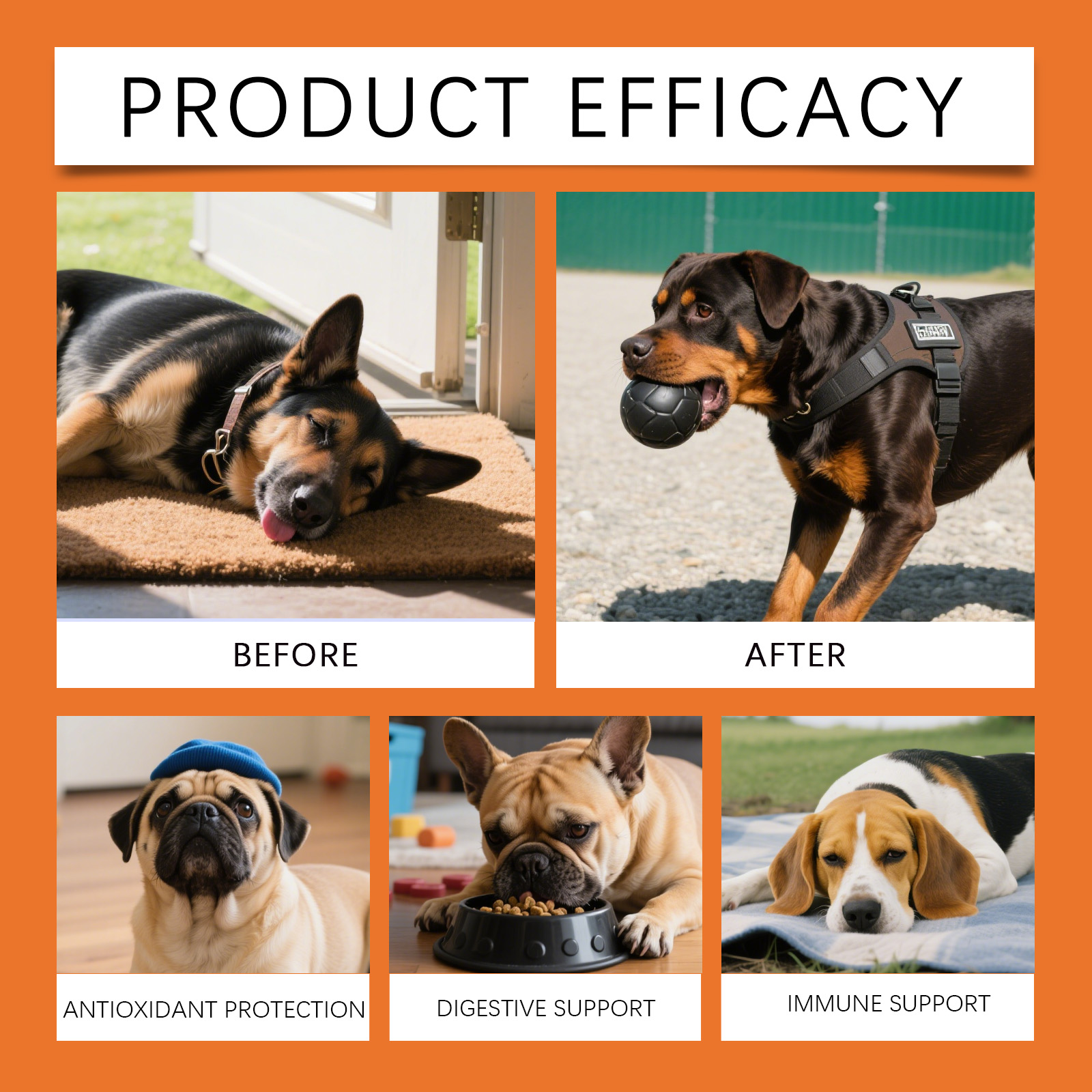 Gotas Herbales para Perros - S - Herbal Wellness For You reseña y precio